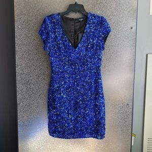 NEW Parker Black Sequin Dress (8)
